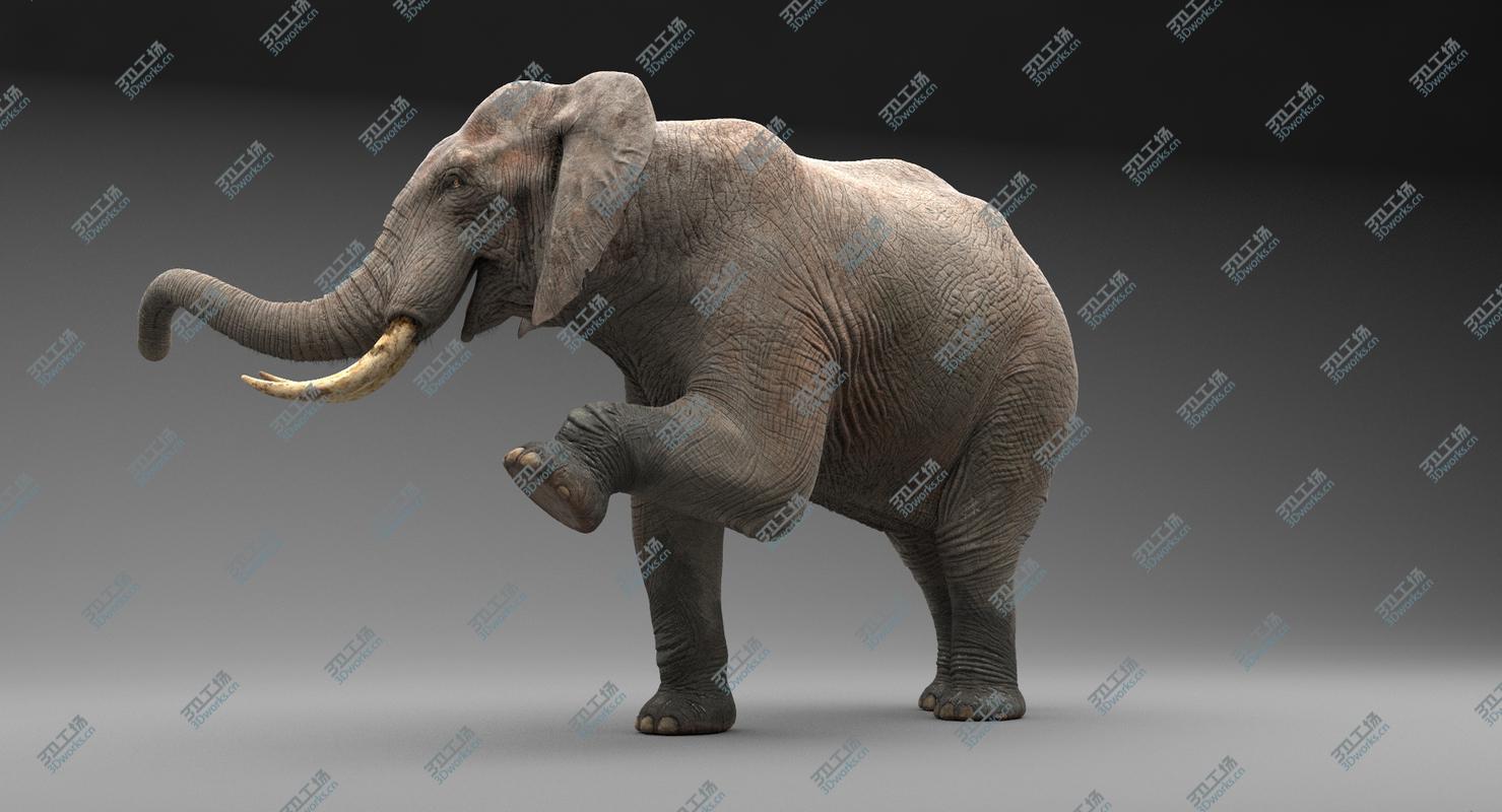 images/goods_img/20210113/Elephant Rigged/5.jpg